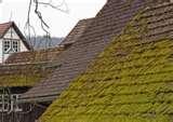 Copper Wire Moss Roof Images