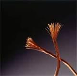 Images of Copper Wire Electronics
