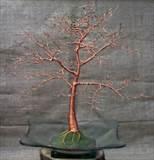 Copper Wire Trees Images