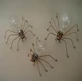 Photos of Copper Wire Spiders