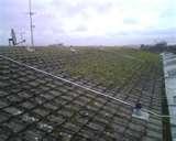 Copper Wire Moss Roof Photos Copper Wire Moss Roof Photos