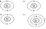 Images of Copper Wire Oxygen Reaction