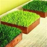 Copper Wire Moss Roof Pictures Copper Wire Moss Roof Pictures
