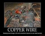 Copper Wire Wow