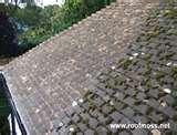 Copper Wire Moss Roof Copper Wire Moss Roof