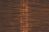 Pictures of Copper Wire Run Pictures of Copper Wire Run