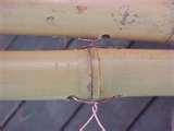 Photos of Copper Wire Run Photos of Copper Wire Run
