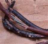 Why Copper Wire Is So Expensive Images Why Copper Wire Is So Expensive Images