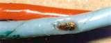 Copper Wire Aircraft Images Copper Wire Aircraft Images