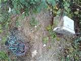 Photos of Copper Wire Eugene Oregon Photos of Copper Wire Eugene Oregon