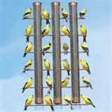 Pictures of Copper Wire Oriole Feeder Pictures of Copper Wire Oriole Feeder