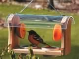 Copper Wire Oriole Feeder Images