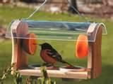 Copper Wire Oriole Feeder Images Copper Wire Oriole Feeder Images