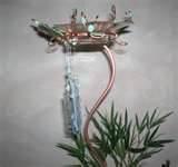 Copper Wire Oriole Feeder Photos Copper Wire Oriole Feeder Photos