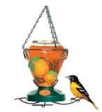 Copper Wire Oriole Feeder Photos