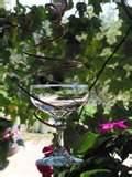 Copper Wire Oriole Feeder Photos Copper Wire Oriole Feeder Photos