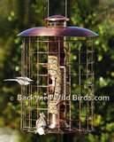 Copper Wire Oriole Feeder Images