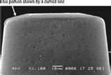 Pictures of Copper Wire Bonding Reliability Pictures of Copper Wire Bonding Reliability
