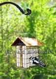 Copper Wire Oriole Feeder Copper Wire Oriole Feeder