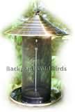 Copper Wire Oriole Feeder Pictures Copper Wire Oriole Feeder Pictures