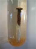 Copper Wire Corrosion Pictures Copper Wire Corrosion Pictures
