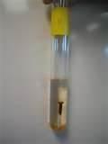 Copper Wire Corrosion Copper Wire Corrosion