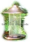 Copper Wire Oriole Feeder Photos