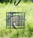 Copper Wire Oriole Feeder Photos