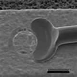 Photos of Copper Wire Wire Bond Photos of Copper Wire Wire Bond