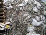 Copper Wire Dealers Pictures Copper Wire Dealers Pictures