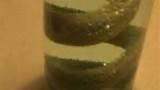 Copper Wire Thin Images Copper Wire Thin Images
