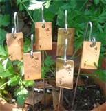 Copper Wire Garden Stakes Photos Copper Wire Garden Stakes Photos