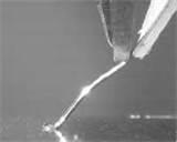 Photos of Copper Wire Bonder Photos of Copper Wire Bonder