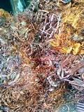 Copper Wire Expensive Pictures Copper Wire Expensive Pictures