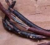 Images of Copper Wire Expensive Images of Copper Wire Expensive