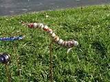 Images of Copper Wire Critters Images of Copper Wire Critters