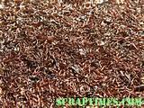 Pictures of Copper Wire Nodules Pictures of Copper Wire Nodules