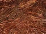 Copper Wire Leads Photos Copper Wire Leads Photos