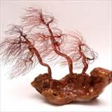 Images of Copper Wire Trees Images of Copper Wire Trees