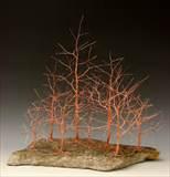 Copper Wire Trees Photos