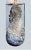 Pictures of Copper Wire Is Placed In A Solution Of Silver I Nitrate Pictures of Copper Wire Is Placed In A Solution Of Silver I Nitrate