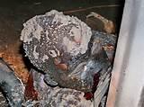 Copper Wire Posts Images Copper Wire Posts Images