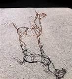 Copper Wire Posts Photos