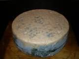 Photos of Copper Wire Blue Cheese Photos of Copper Wire Blue Cheese