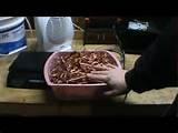 Pictures of Copper Wire Oakland Pictures of Copper Wire Oakland