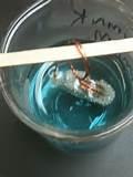 Copper Wire Is Placed In A Solution Of Silver I Nitrate Photos