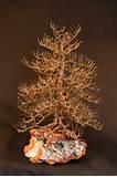 Copper Wire Name Words Photos Copper Wire Name Words Photos