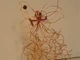 Images of Copper Wire Spiders