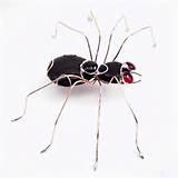 Images of Copper Wire Spiders Images of Copper Wire Spiders