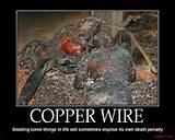 Copper Wire Thieves Pictures